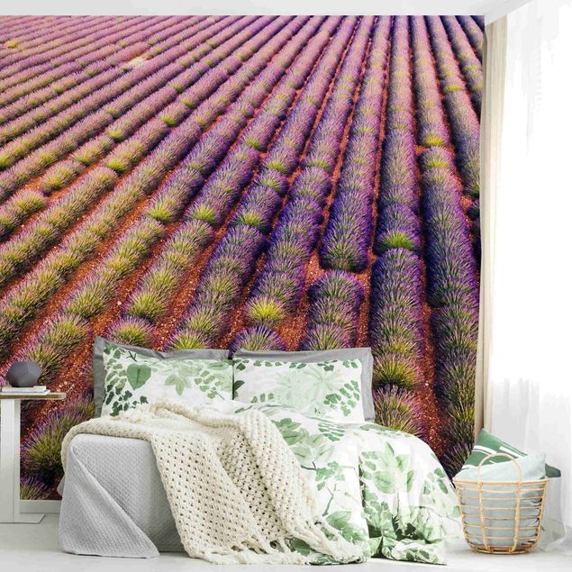 Fototapete - Malerisches Lavendelfeld