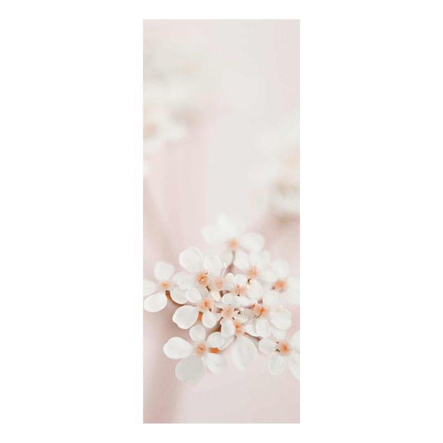 Glasbild - Miniblüten im Rosanen Licht - Hochformat