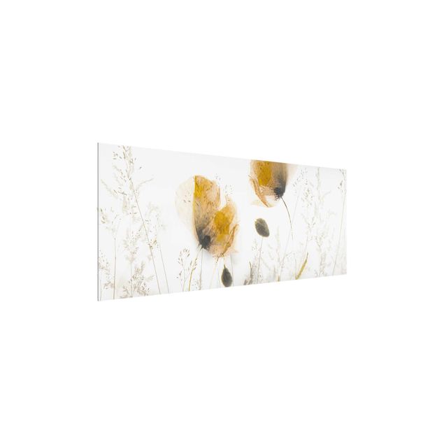 Glasbild - Mohnblumen und zarte Gräser im weichen Nebel - Panorama
