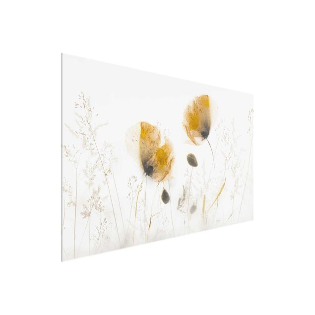 Glasbild - Mohnblumen und zarte Gräser im weichen Nebel - Querformat