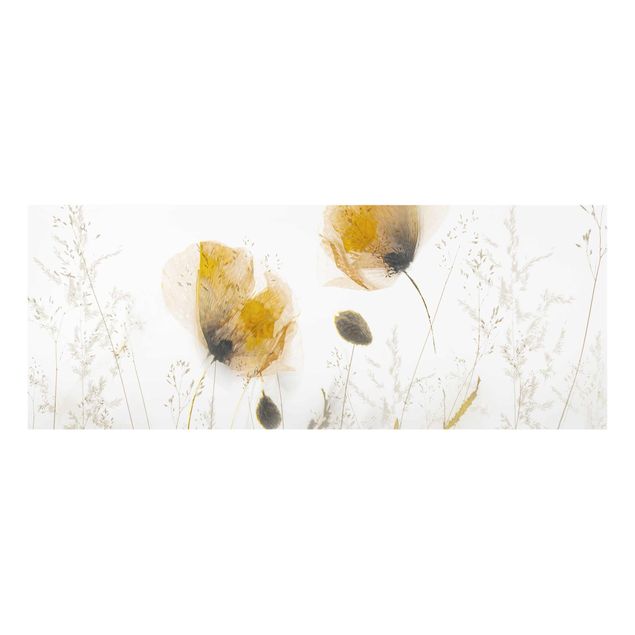Glasbild - Mohnblumen und zarte Gräser im weichen Nebel - Panorama