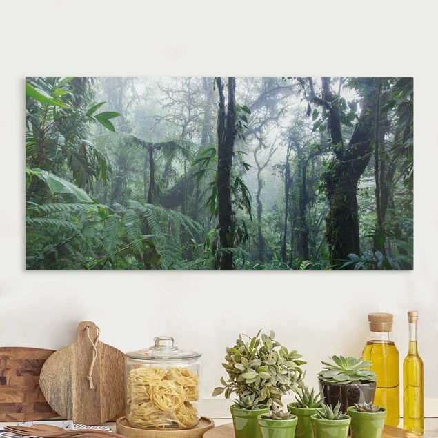 Matteo Colombo Kunstdrucke Monteverde Nebelwald