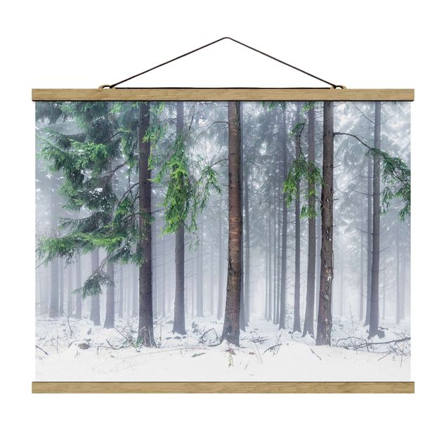 Stoffbild mit Posterleisten - Nadelbäume im Winter - Querformat 4:3