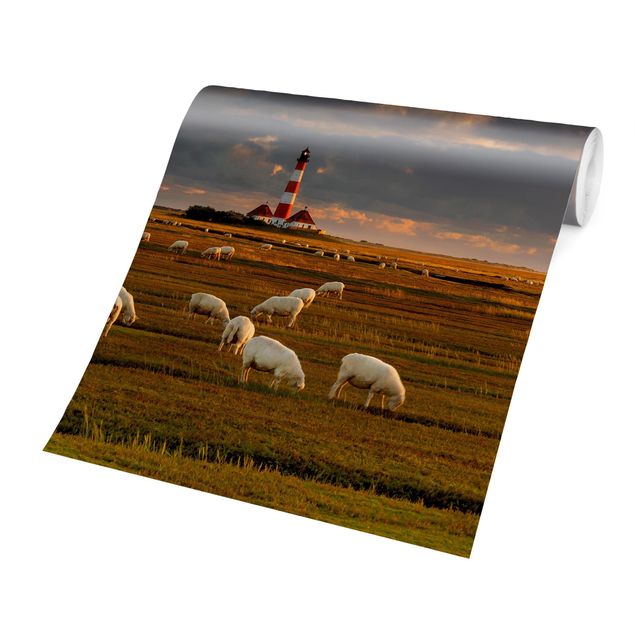 Fototapete - Nordsee Leuchtturm mit Schafsherde