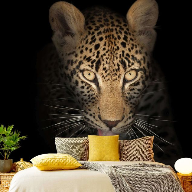 Fototapete - Resting Leopard