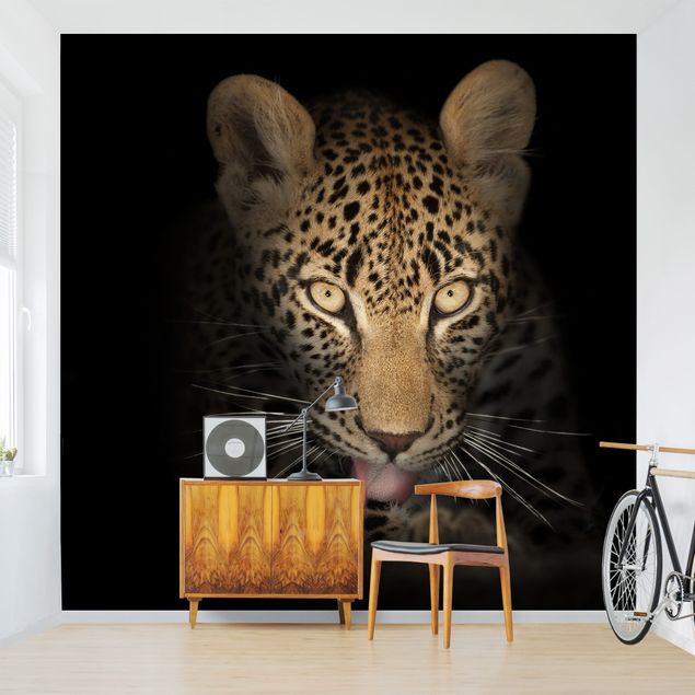 Fototapete - Resting Leopard