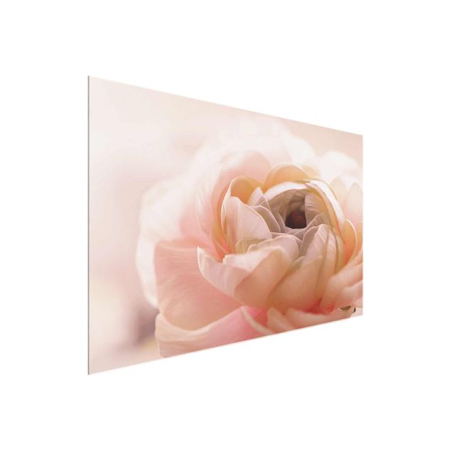 Glasbild - Rosa Blüte im Fokus - Querformat