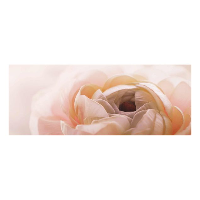 Glasbild - Rosa Blüte im Fokus - Panorama