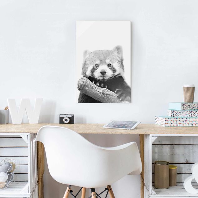 Glasbild - Roter Panda in Schwarz-weiß - Hochformat