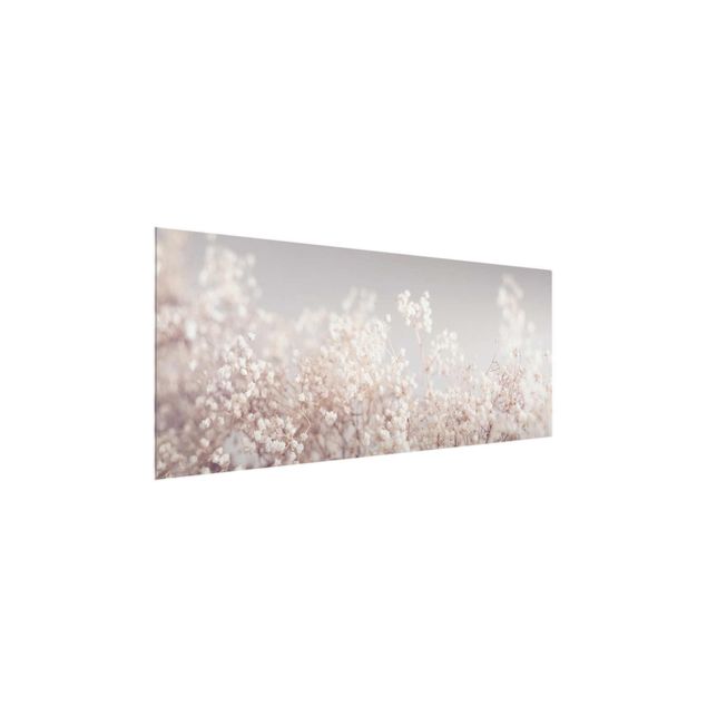 Glasbild - Sanfter Blütentraum - Panorama