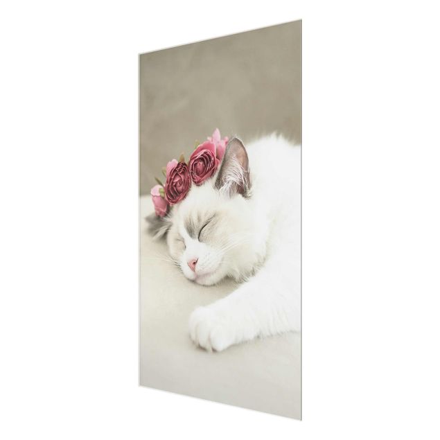 Glasbild - Schlafende Katze mit Rosen - Hochformat