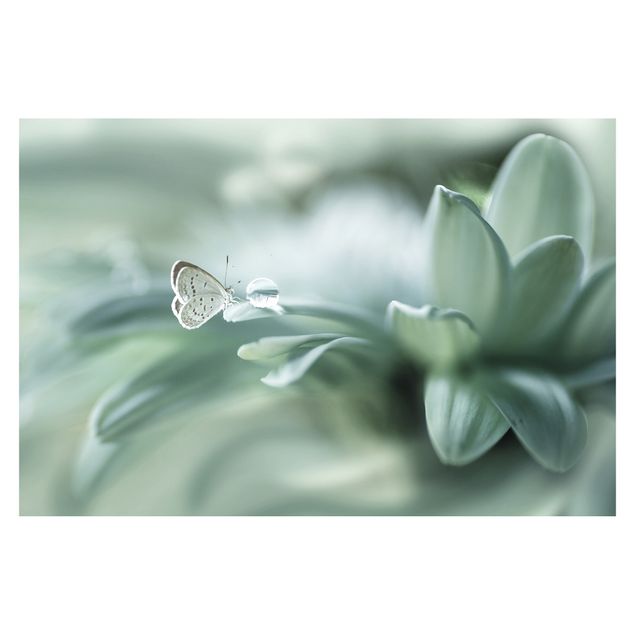Fototapete - Schmetterling und Tautropfen in Pastellgrün
