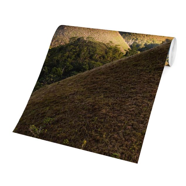 Fototapete - Schokoladenhügel Landschaft