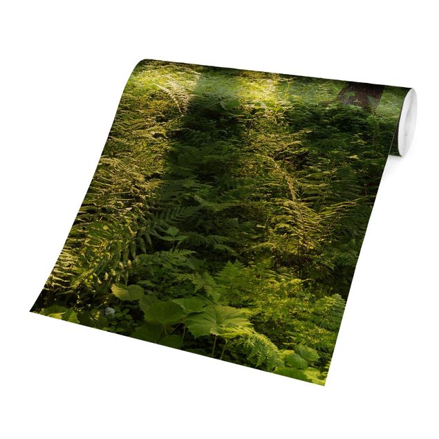 Fototapete - Sonnenstrahlen in grünem Wald