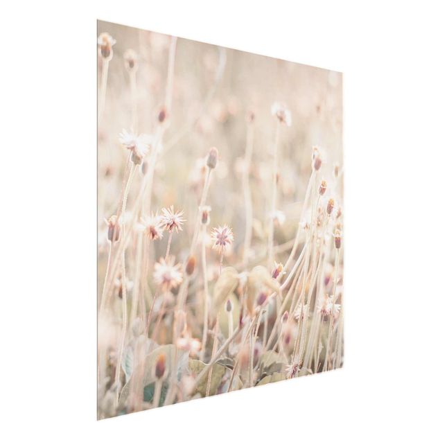 Glasbild - Strahlende Blumenwiese - Quadrat