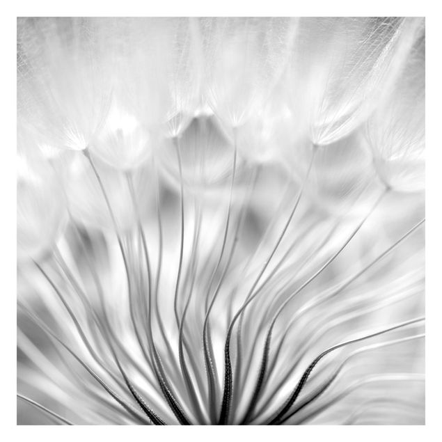 Fototapete - Traumhafte Pusteblume Schwarz-Weiß