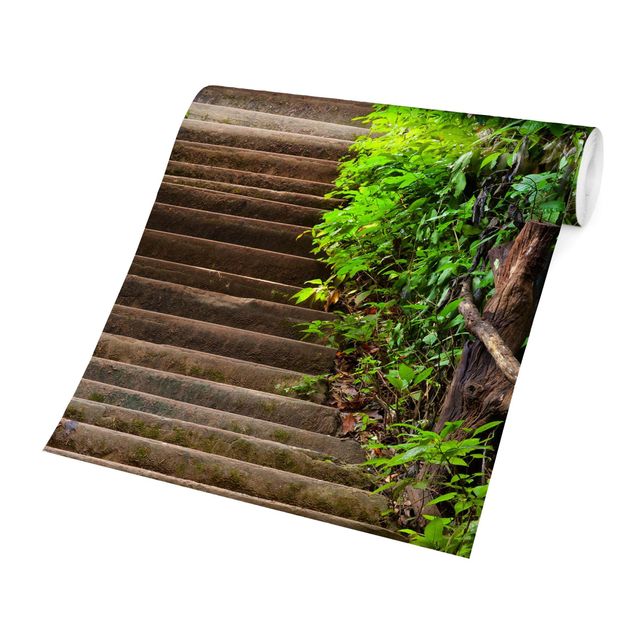 Fototapete - Treppenaufstieg im Wald