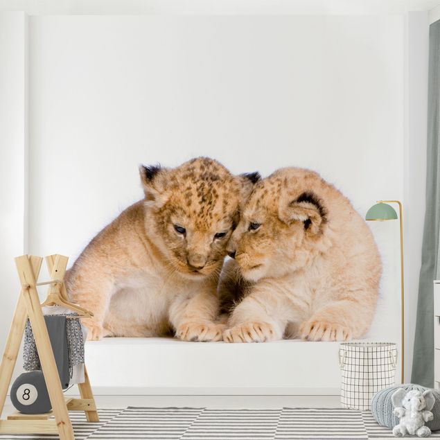Fototapete - Two Lion Babys