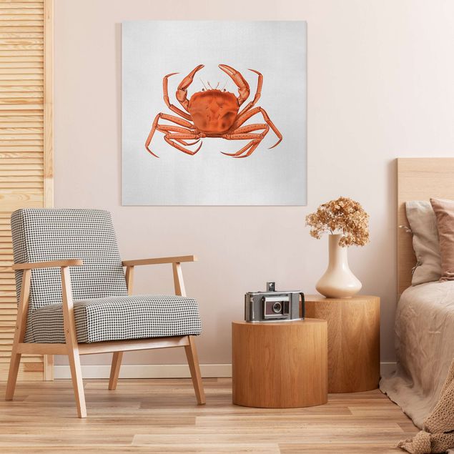 Leinwandbild - Vintage Illustration Rote Krabbe - Quadrat 1:1