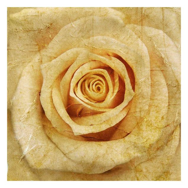 Fototapete - Vintage Rose