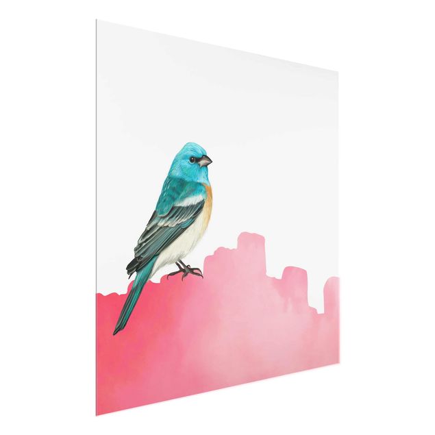 Glasbild - Vogel auf Pink - Quadrat
