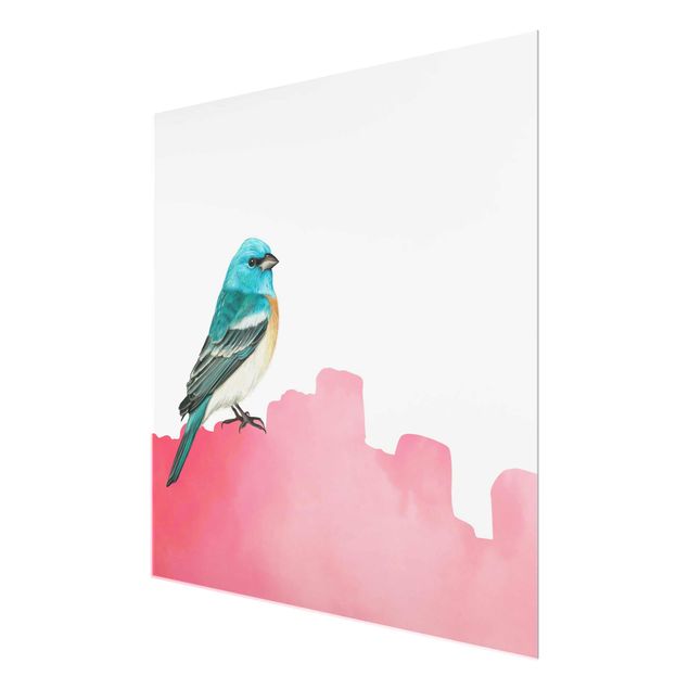 Glasbild - Vogel auf Pink - Quadrat