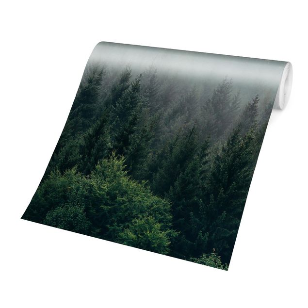 Fototapete - Wald im Nebel Dämmerung