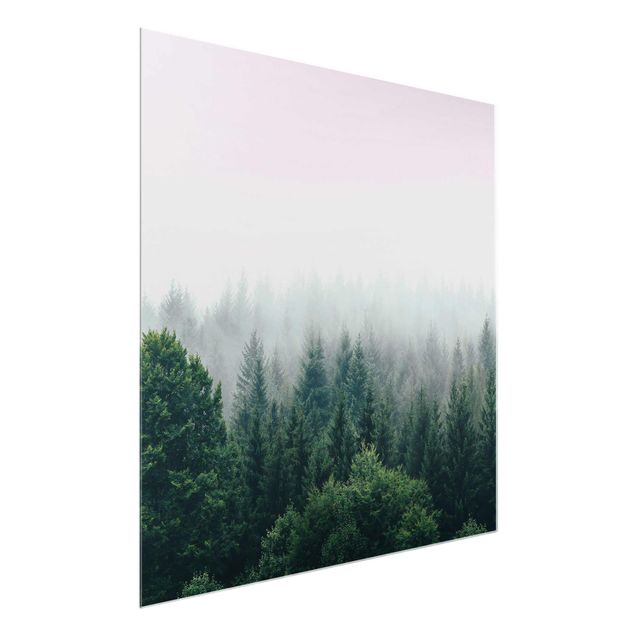 Glasbild - Wald im Nebel Dämmerung - Quadrat