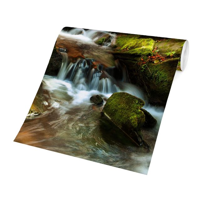 Fototapete - Wasserfall herbstlicher Wald
