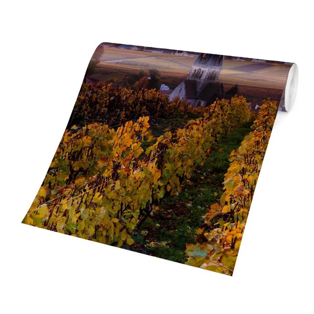 Fototapete - Weinplantage bei Sonnenuntergang