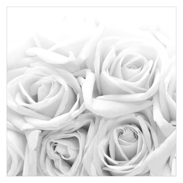 Fototapete - Weiße Rosen Schwarz-Weiß - Quadrat