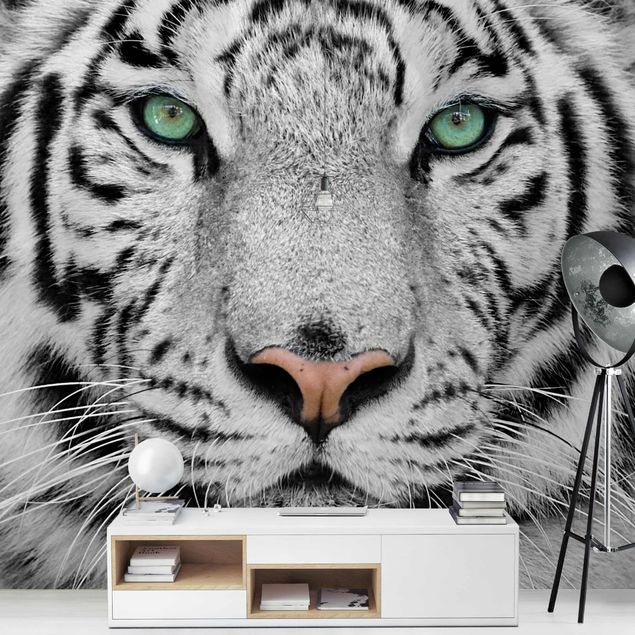 Fototapete - Weißer Tiger