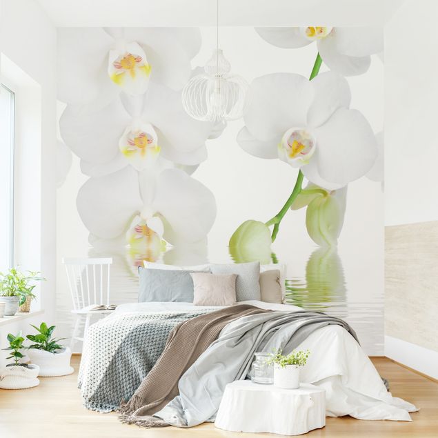 Fototapete - Wellness Orchidee - Weiße Orchidee