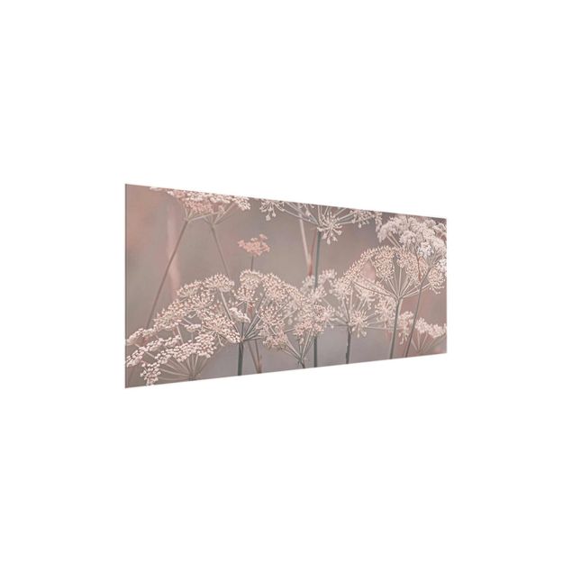 Glasbild - Wilde Doldenblüten - Panorama