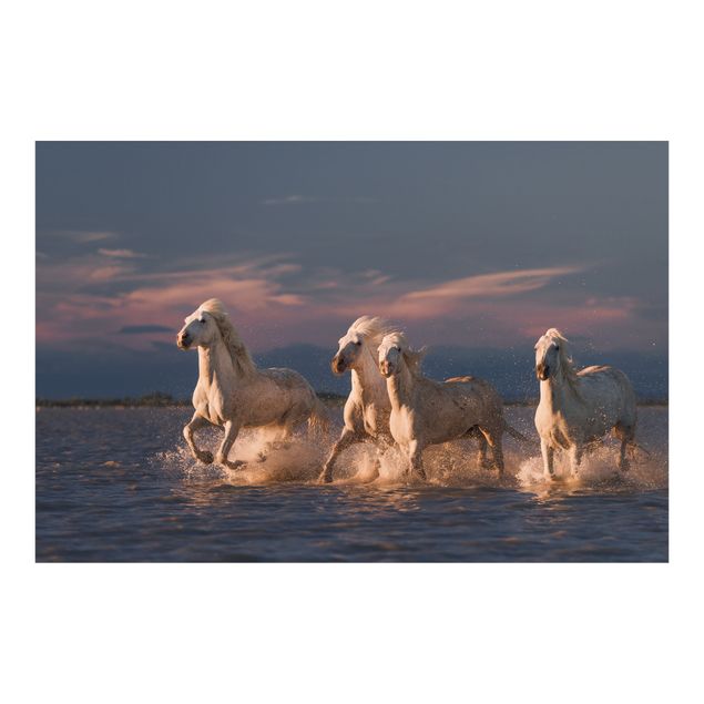 Fototapete - Wilde Pferde in Kamargue