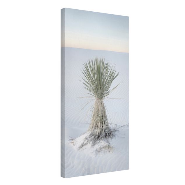 Leinwandbild - Yucca Palme in weißem Sand - Hochformat 1:2