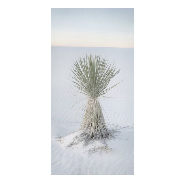 Leinwandbild - Yucca Palme in weißem Sand - Hochformat 1:2