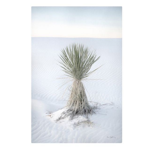 Leinwandbild - Yucca Palme in weißem Sand - Hochformat 2:3