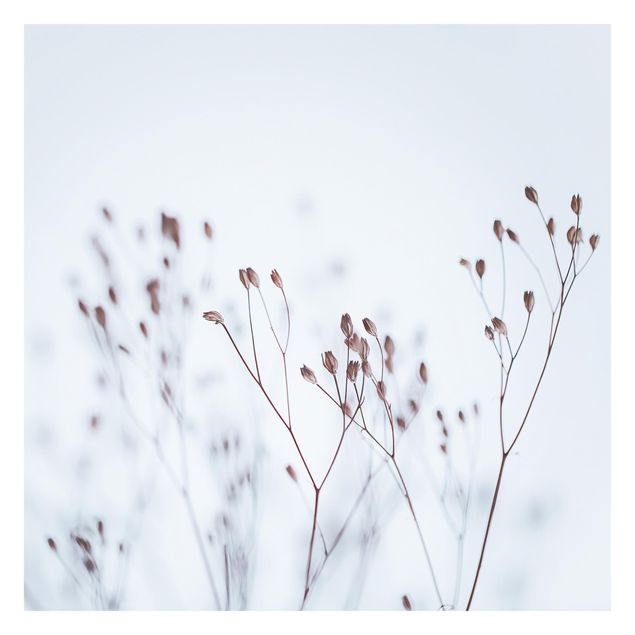 Fototapete - Zartblaue Wildblumen