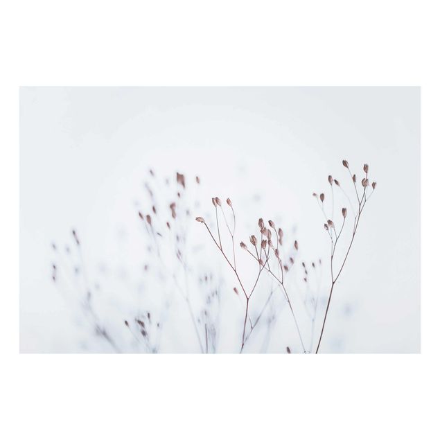 Glasbild - Zartblaue Wildblumen - Querformat