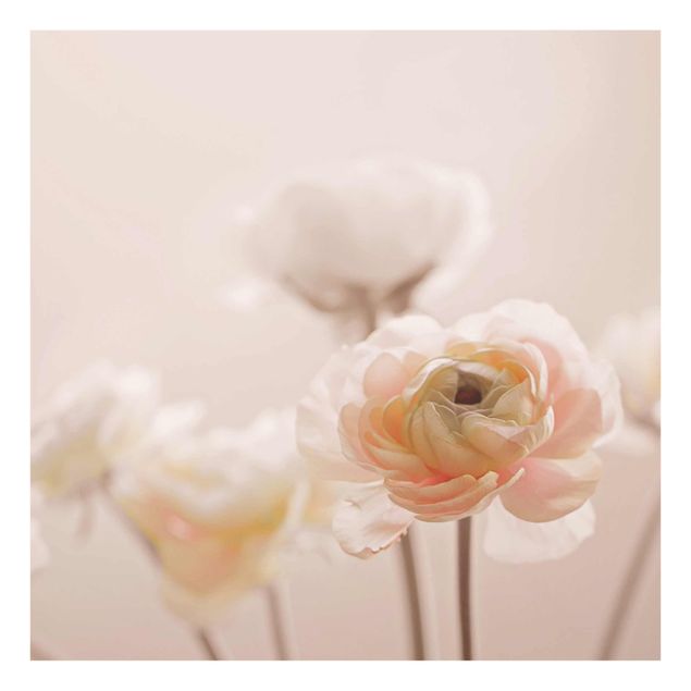 Glasbild - Zarter Strauch an Rosa Blüten - Quadrat