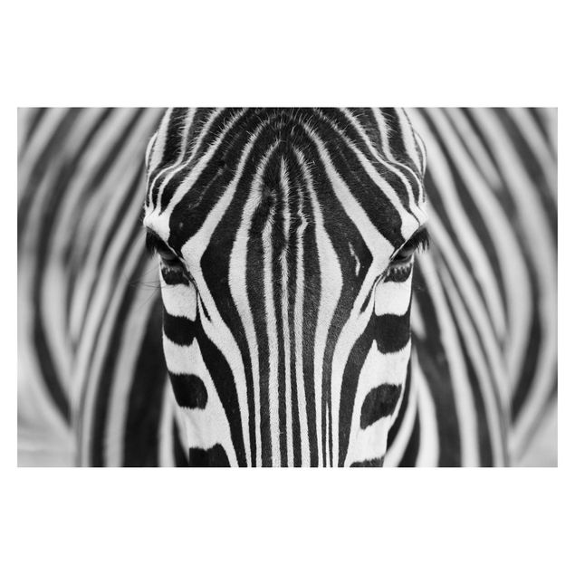 Fototapete - Zebra Look