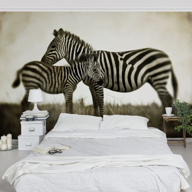 Fototapete - Zebrapaar
