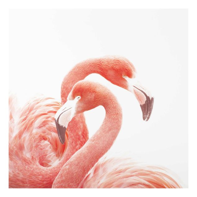 Glasbild - Zwei Flamingos - Quadrat