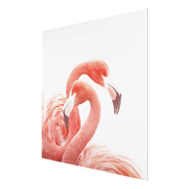 Glasbild - Zwei Flamingos - Quadrat