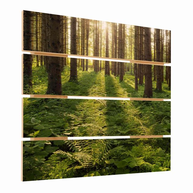 Holzbild - Sonnenstrahlen in grünem Wald - Quadrat 1:1