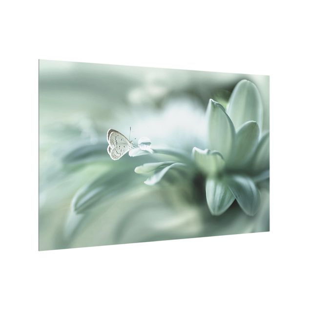 Spritzschutz Glas - Schmetterling und Tautropfen in Pastellgrün - Querformat - 3:2