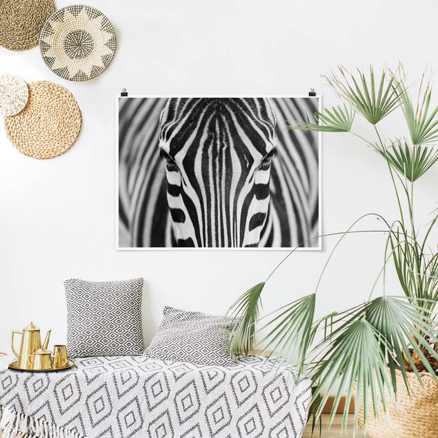 Poster - Zebra Look - Querformat 3:4