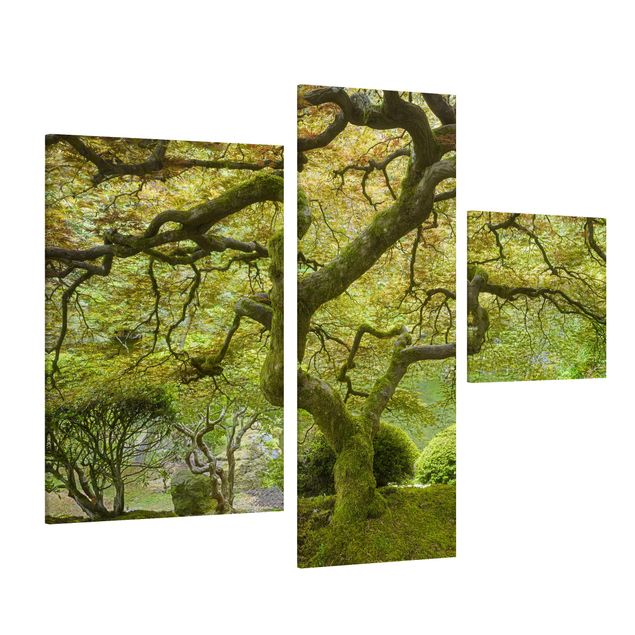 Leinwandbild 3-teilig - Grüner Japanischer Garten - Collage 1