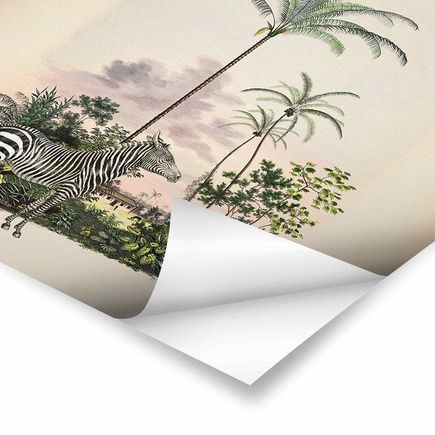 Poster - Zebra vor Palmen Illustration - Quadrat 1:1
